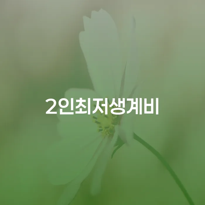 지방법원개인회생 빚갚는 방법 필수로 알아야하는 부분