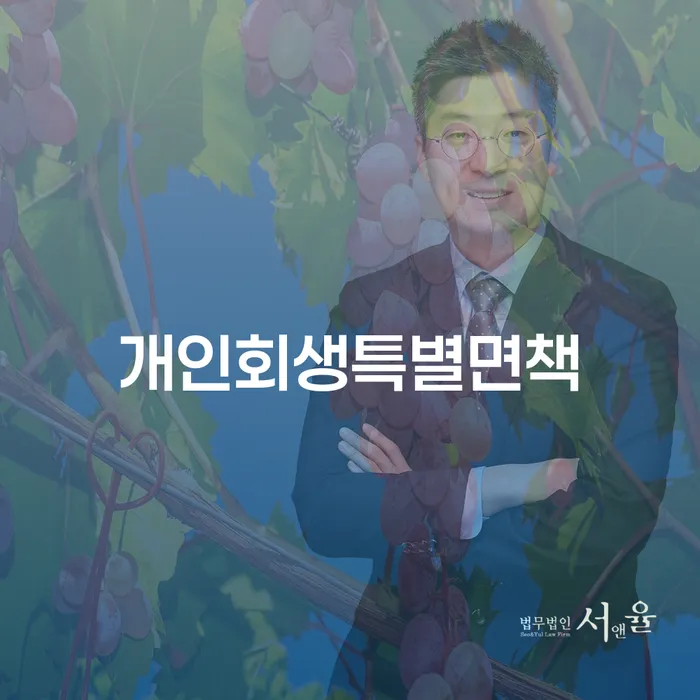 개인회생변호사 개인회생 문제해결방법 도움을 받을 수 있는 제도