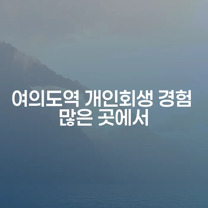 여의도역 개인회생 경험 많은 곳에서