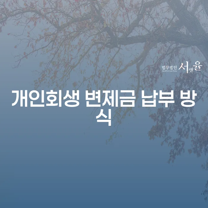 개인회생 변제금 납부 방식, 어떻게 하면 좋을까요?