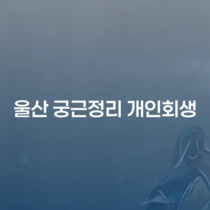 울산 궁근정리 개인회생, 채무 해결의 새로운 시작을 어떻게 할까요?