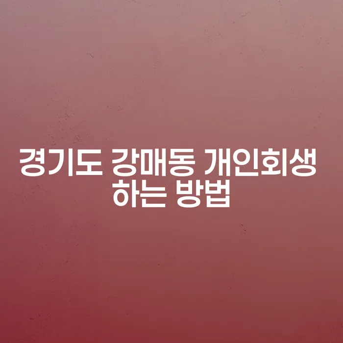 경기도 강매동 개인회생 하는 방법이 궁금하시나요?